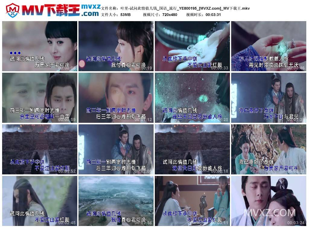 叶里-试问此情值几钱_国语_流行_YE800195